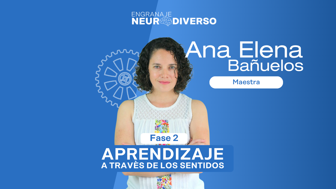 Aprendizaje a través de los sentidos